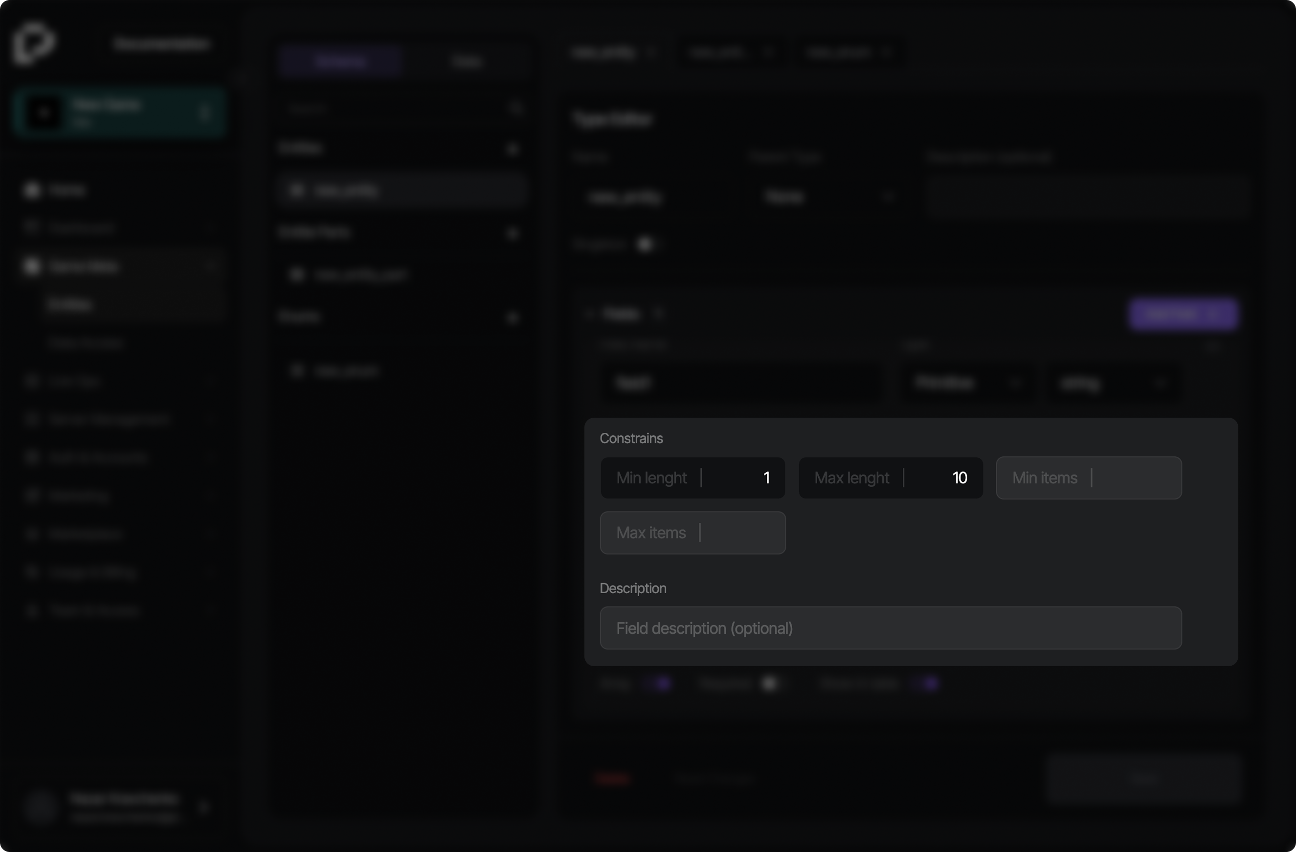 Constraints and field settings panel